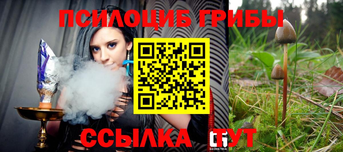 Псилоцибиновые грибы GOLDEN TEACHER  Вход с VPN  Хабаровск 
